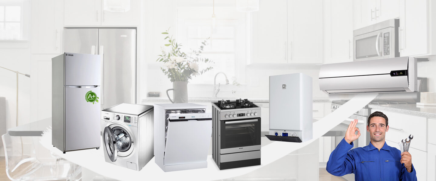 Bağlar Philips Servisi